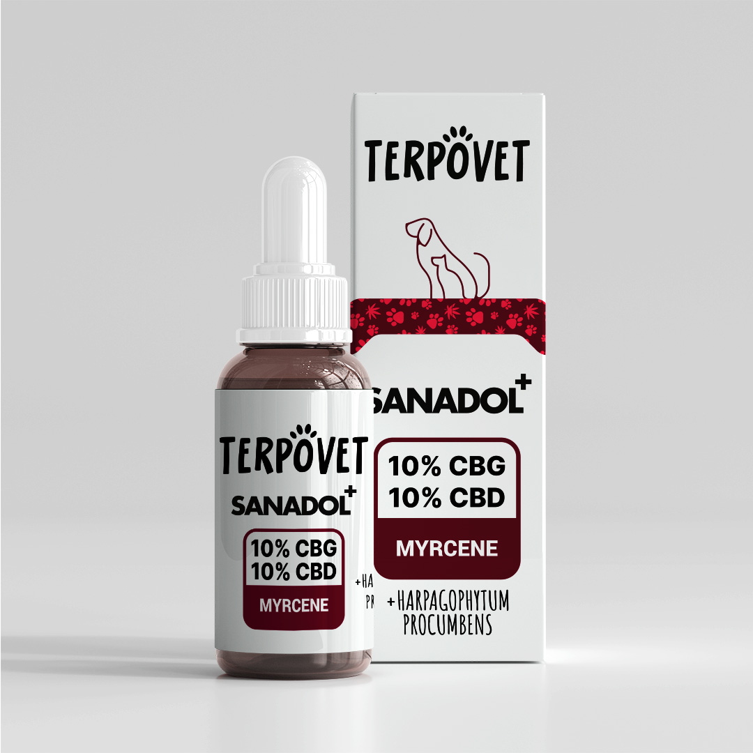 Sanadol+ 10% Cáñamo Oil